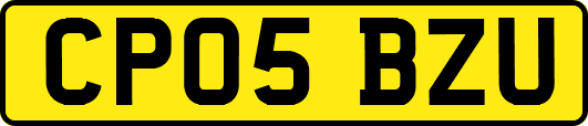 CP05BZU