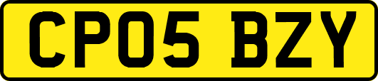 CP05BZY