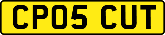 CP05CUT