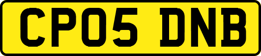 CP05DNB