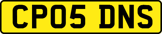 CP05DNS