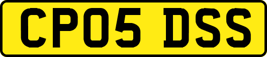 CP05DSS