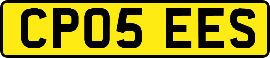 CP05EES