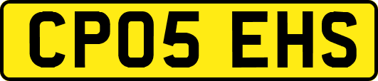 CP05EHS