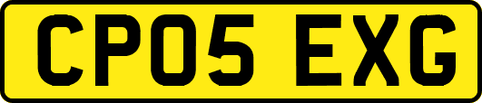 CP05EXG