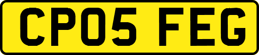 CP05FEG