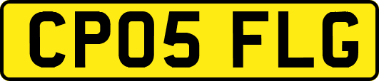 CP05FLG