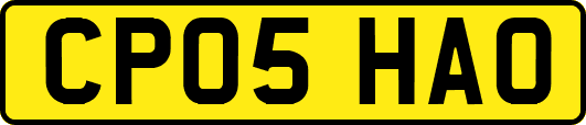 CP05HAO