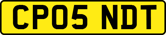 CP05NDT