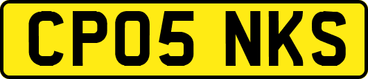 CP05NKS
