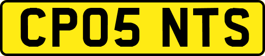 CP05NTS