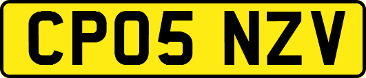 CP05NZV
