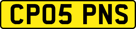 CP05PNS