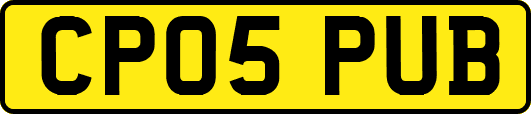 CP05PUB