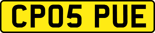 CP05PUE
