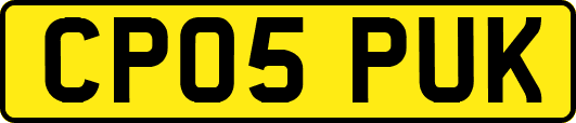 CP05PUK