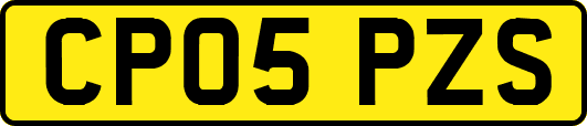 CP05PZS