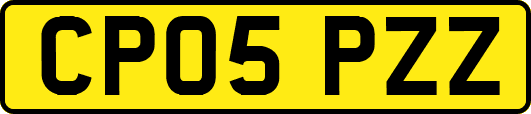 CP05PZZ