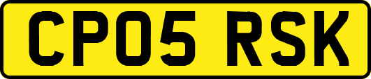 CP05RSK