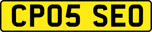 CP05SEO