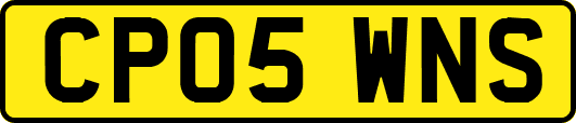 CP05WNS
