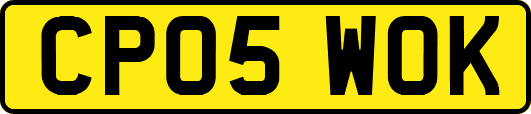 CP05WOK