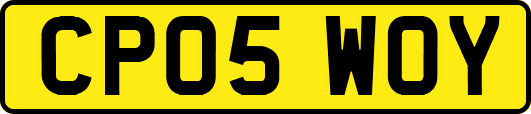 CP05WOY