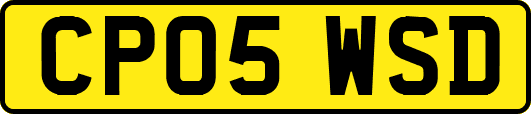 CP05WSD