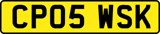 CP05WSK