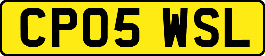 CP05WSL