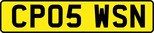 CP05WSN