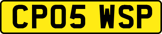 CP05WSP