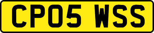 CP05WSS