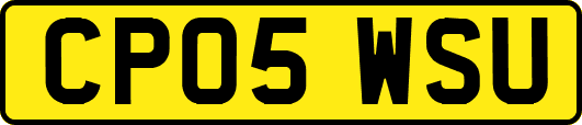 CP05WSU