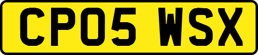 CP05WSX