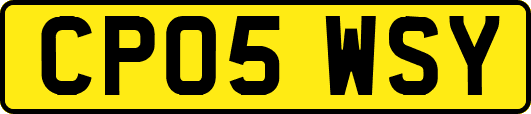 CP05WSY