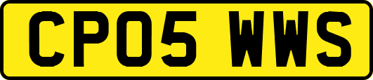 CP05WWS