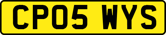 CP05WYS