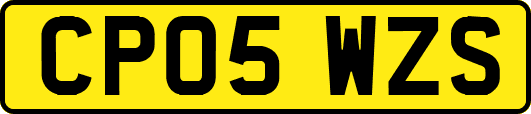 CP05WZS
