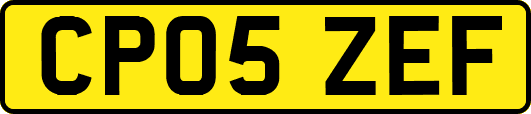 CP05ZEF
