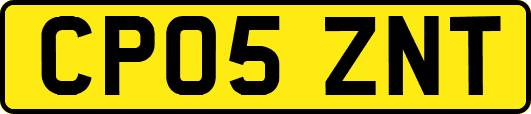 CP05ZNT