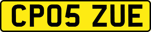 CP05ZUE