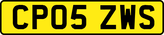 CP05ZWS