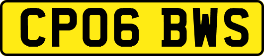 CP06BWS