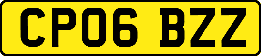 CP06BZZ