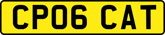 CP06CAT