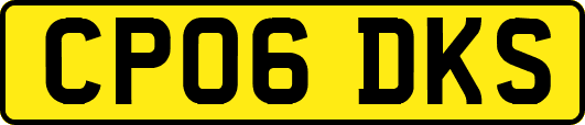 CP06DKS