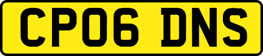 CP06DNS