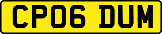 CP06DUM
