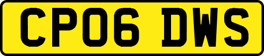 CP06DWS